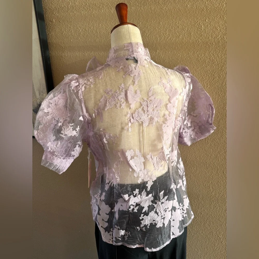 Gorgeous lilac organza sheer top